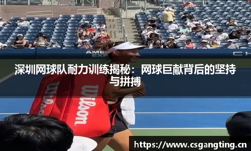 深圳网球队耐力训练揭秘：网球巨献背后的坚持与拼搏